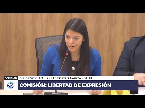 COMISIÓN EN VIVO: LIBERTAD DE EXPRESIÓN - 25 de abril de 2024 - Diputados Argentina