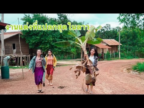 Ep2งานแต่งสุดแปลกของชนเผ่ามังก Ep2งานแต่งสุดแปลกของชนเผ่ามังก