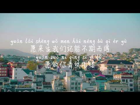 【愿-艾辰】YUAN-AI CHEN /TIKTOK,抖音,틱톡/Pinyin Lyrics, 拼音歌词, 병음가사/No AD, 无广告, 광고없음
