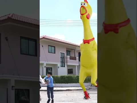 GiantChickengiantshorts