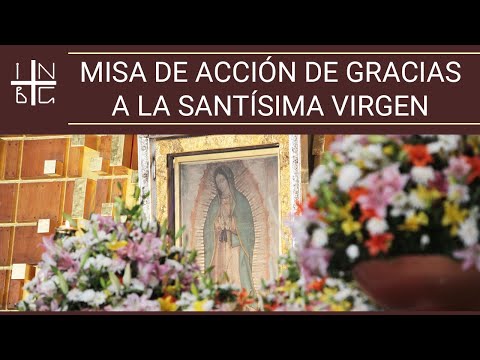 Alberto Reyes y Martha Botello, acción de gracias a la Santísima Virgen por 50° aniv. matrimonial