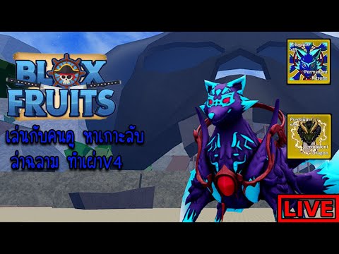 PNM TH 🔴LIVEBloxFruit:แจกไอดีBloxFruitsตึงๆนานๆมาทีนะ