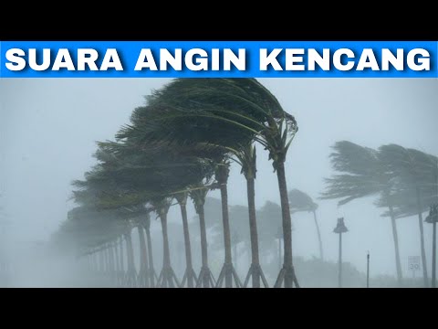 Efek Suara Angin Kencang | Strong Wind Sound Effect