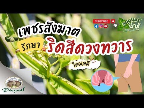 เพชรสังฆาตรักษาริดสีดวงทวารไ