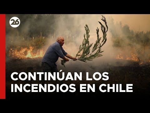 CHILE | Trágicos incendios forestales