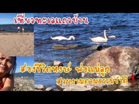 เที่ยวทะเลแถวบ้าน-swedenSundsv เที่ยวทะเลแถวบ้าน-swedenSundsv