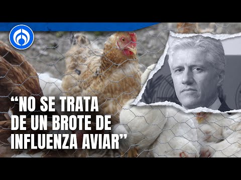 Se reporta primera muerte por gripe aviar H5N2