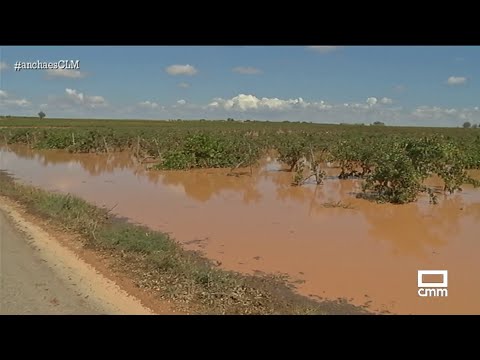 Las lluvias convierten los campos de La Manchuela en lagunas | Ancha es Castilla-La Mancha