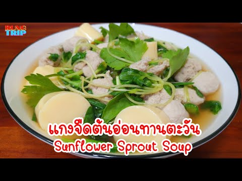 แกงจืดต้นอ่อนทานตะวัน🌱-วิธีทำห แกงจืดต้นอ่อนทานตะวัน🌱-วิธีทำห