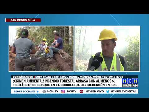 Preocupación en San Pedro Sula por incendio forestal en el Merendón