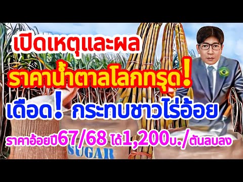 เปิดเหตุผล!ราคาน้ำตาลตลาดโลกด