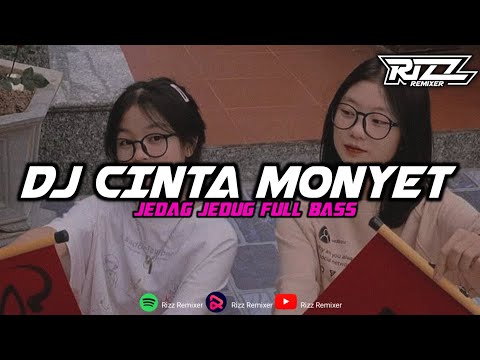 Dj Viral Tiktok || Cinta Monyet (Slowed & Reverb) By Rizz Remixer