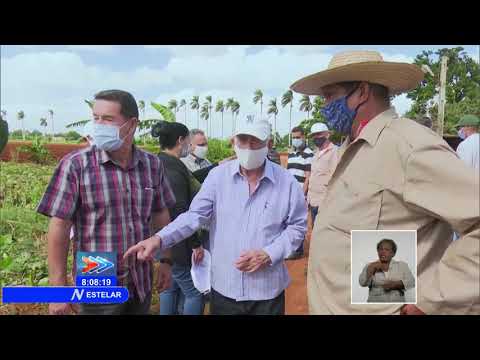 Machado Ventura chequea planes para producción de alimentos en Cuba