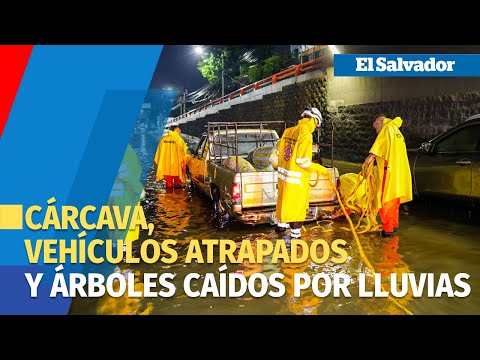Una cárcava, vehículos atrapados y árboles caídos por lluvias en San Salvador