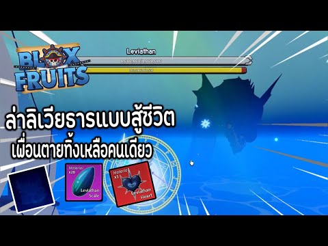 BloxFruitsล่าลิเวียธารแบบสู