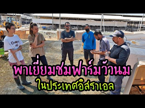 พาเยี่ยมชมฟาร์มวัวนมขนาดใหญ่-อ พาเยี่ยมชมฟาร์มวัวนมขนาดใหญ่-อ