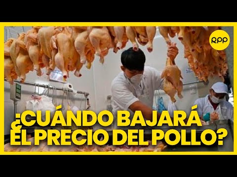 Perú: ¿Bajará el precio del pollo?