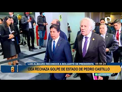 Consejo Permanente de la OEA se pronuncia tras la vacancia de Pedro Castillo