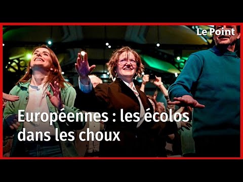 Européennes : les écolos dans les choux