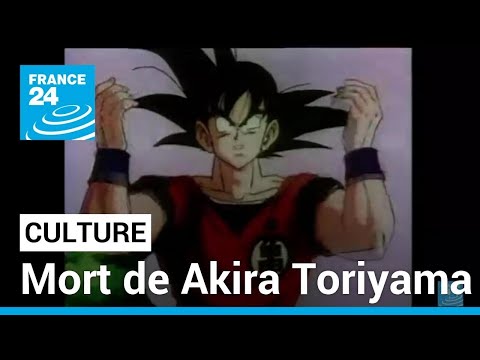 Mort de Akira Toriyama : Son Goku est orphelin • FRANCE 24