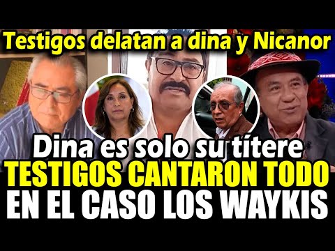 Testigos en el caso Los Waykis confiesan y delatan a Dina y Nicanor Boluarte: Él maneja el gobierno