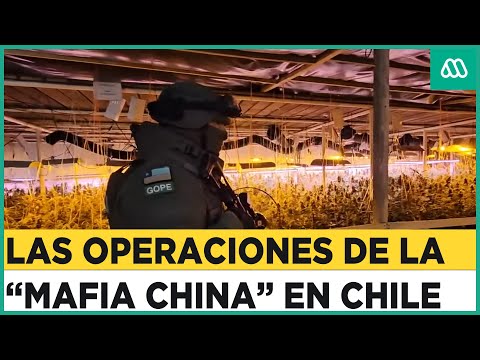 Mafia china en Chile: Los negocios ilícitos que manejan en suelo nacional