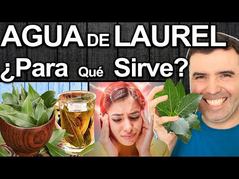 AGUA DE LAUREL - Bebe Esto En Ayunas - La Hoja Que Esta Curando Muchas Enfermedades