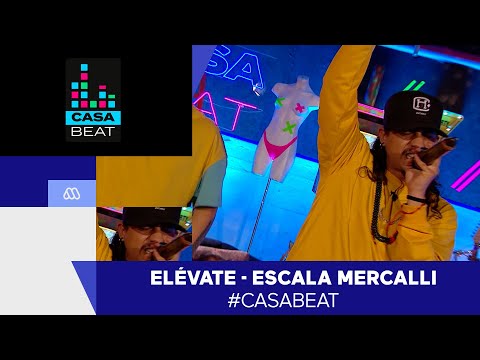 Casa Beat / Elévate  - Escala Mercalli