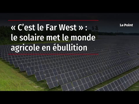« C’est le Far West » : le solaire met le monde agricole en ébullition