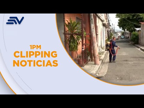 Emergencia sanitaria por dengue en Santo Domingo | Televistazo | Ecuavisa