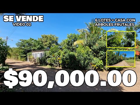 Se vende casa + 6 lotes con árboles frutales | video 02 |  CRV EL SALVADOR