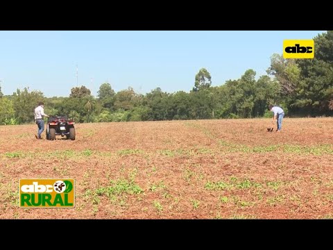 ABC Rural: Muestreo de suelo en agricultura de precisión