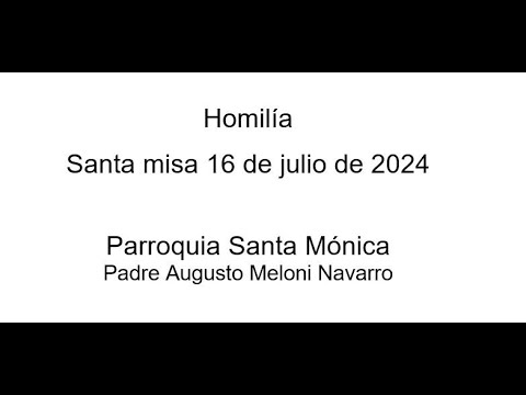 Homilía extraída de la Misa del 16 de julio del 2024