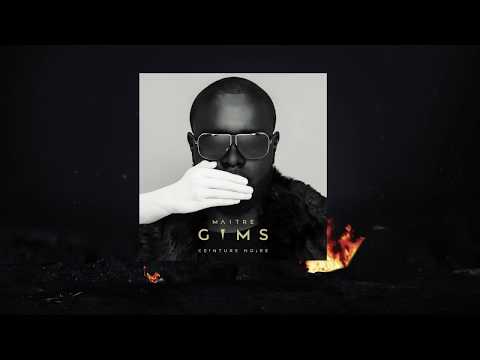 Maitre Gims- Tu Reviendras- video animation