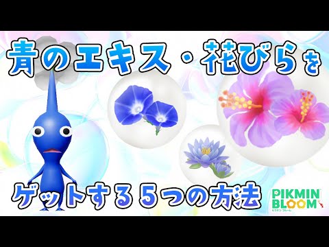 【初心者向け】今月のイベントは過去一厳しい？青のエキス・花びら入手方法【ピクミンブルーム/PikminBloom】