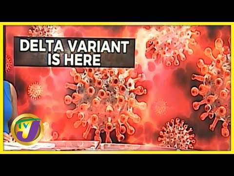 Delta Virus Detected in Jamaica | TVJ News - August 18 2021