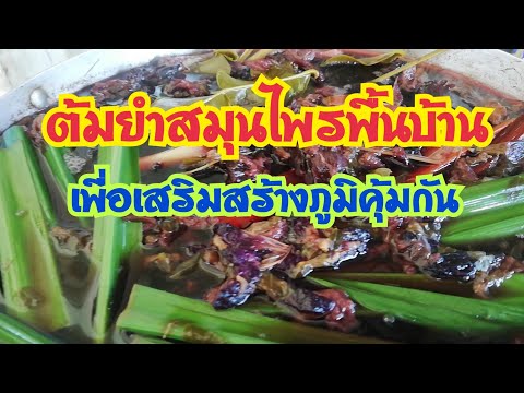 ต้มยำสมุนไพรพื้นบ้าน-เพื่อเสร ต้มยำสมุนไพรพื้นบ้าน-เพื่อเสร
