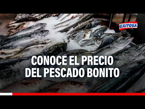 Villa María del Triunfo: Conoce el precio del pescado Bonito y Lisa