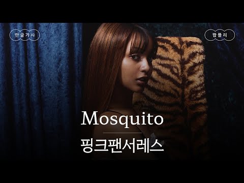 제목은 '모기'지만 노래는 좋습니다..🦟 [가사 번역] 핑크팬서레스 (PinkPantheress) - Mosquito