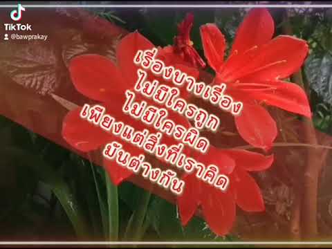 สวัสดีเช้าวันใหม่_วันอาทิตย์-# สวัสดีเช้าวันใหม่_วันอาทิตย์-#