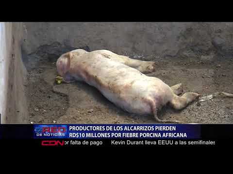 Productores de Los Alcarrizos pierden RD$10 millones por fiebre porcina africana