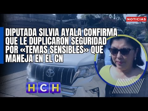 Diputada Silvia Ayala confirma que le duplicaron seguridad por «temas sensibles» que maneja en el CN