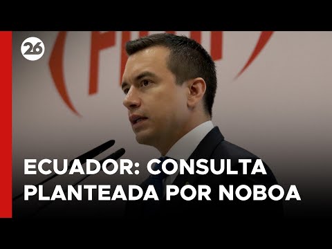 ECUADOR | El Tribunal Constitucional habilitó al presidente Noboa a realizar una consulta popular