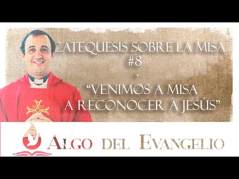 Catequesis sobre la Misa #8 - Venimos a la misa a reconocer a Jesús - P. Rodrigo Aguilar