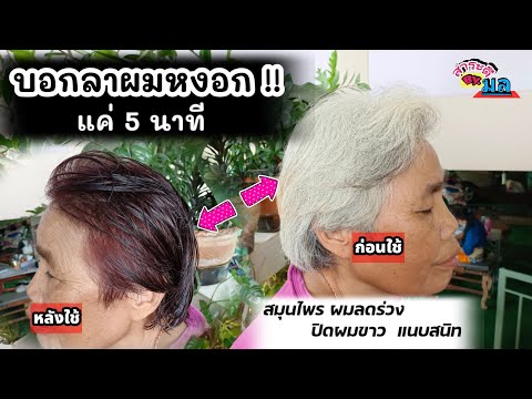บอกลาผมหงอกขาว-ใน5นาที--หยุดผม บอกลาผมหงอกขาว-ใน5นาที--หยุดผม