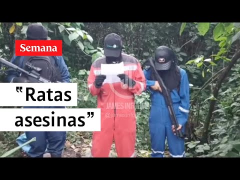 Estas son las “ratas asesinas” la banda que amenazó al director del Inpec | Semana noticias