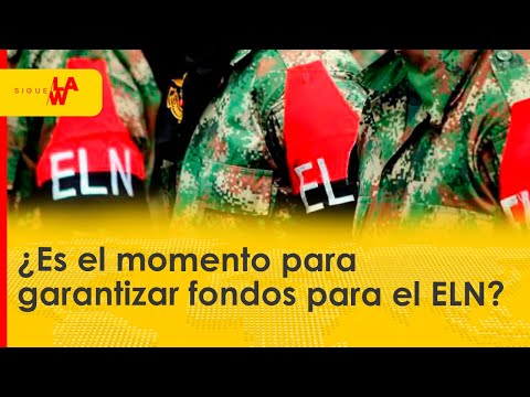 ¿Es el momento para garantizar fondos para el ELN?