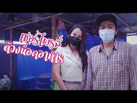 มือใหม่เลี้ยงด้วงสาคู-ด้วงมะพร มือใหม่เลี้ยงด้วงสาคู-ด้วงมะพร