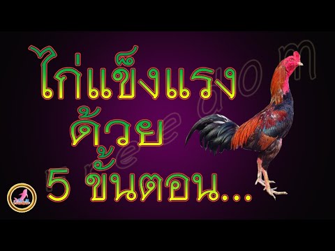 เริ่มเลี้ยงไก่ด้วย5ขั้นตอน(ฉ