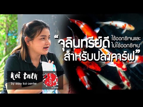 จุลินทรีย์-ดี-2-แบบที่นักเลี้ย จุลินทรีย์-ดี-2-แบบที่นักเลี้ย
